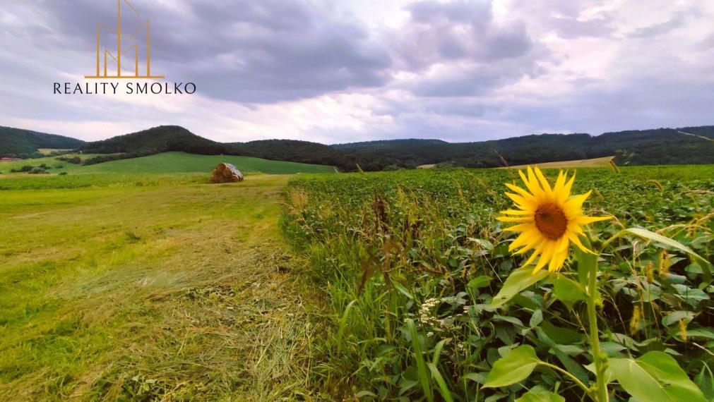 PREDANÉ !!!  Predaj pozemku v obci Uzovský Šalgov, okr. Sabinov.